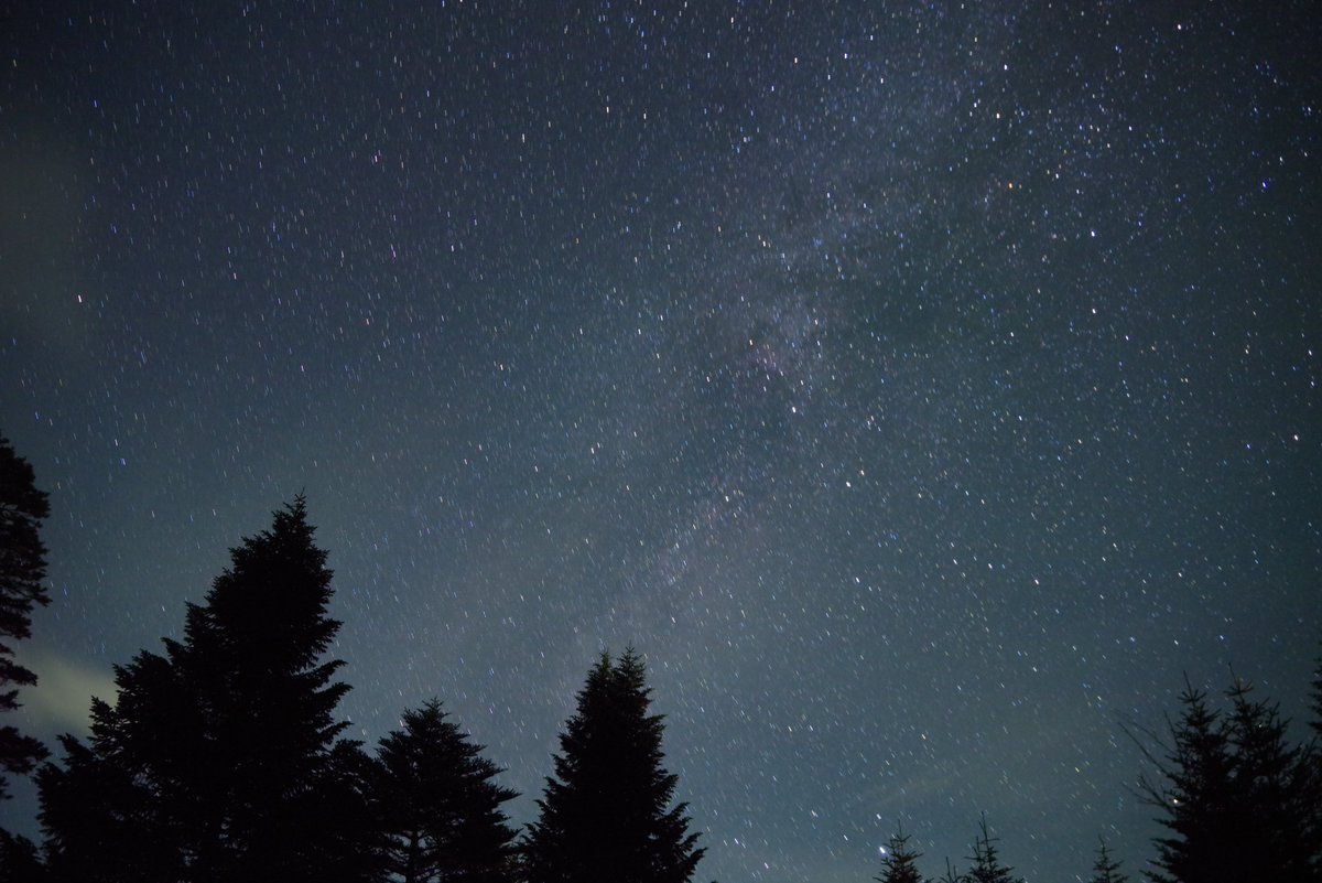 Kizさん tweet media