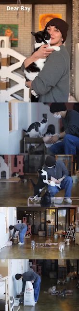 #YooSeungHo akhir Januari lalu dateng ke komunitas perlindungan hewan "Dear Ray" buat bantu bersihin kotak pasir kucing, nyiapin makanan, sampai bantu biaya RS hewan. Sebenarnya Yoo Seung Ho nya minta buat gak dipublikasikan 

Tapi pihak komunitasnya ingin berterima kasih atas