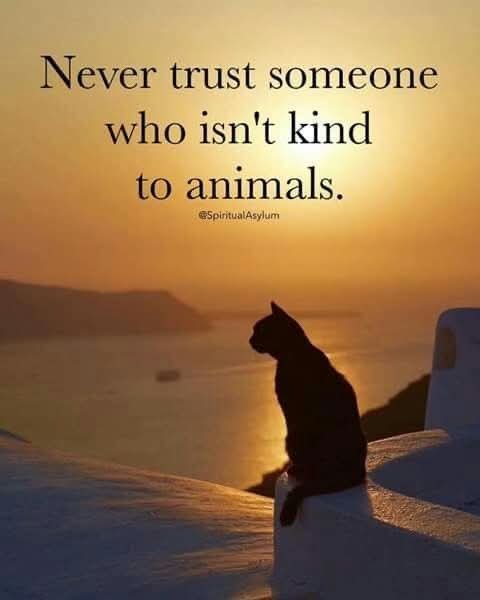 Papa Woof und Krampus und Bleaken (@woofknight) on Twitter photo 