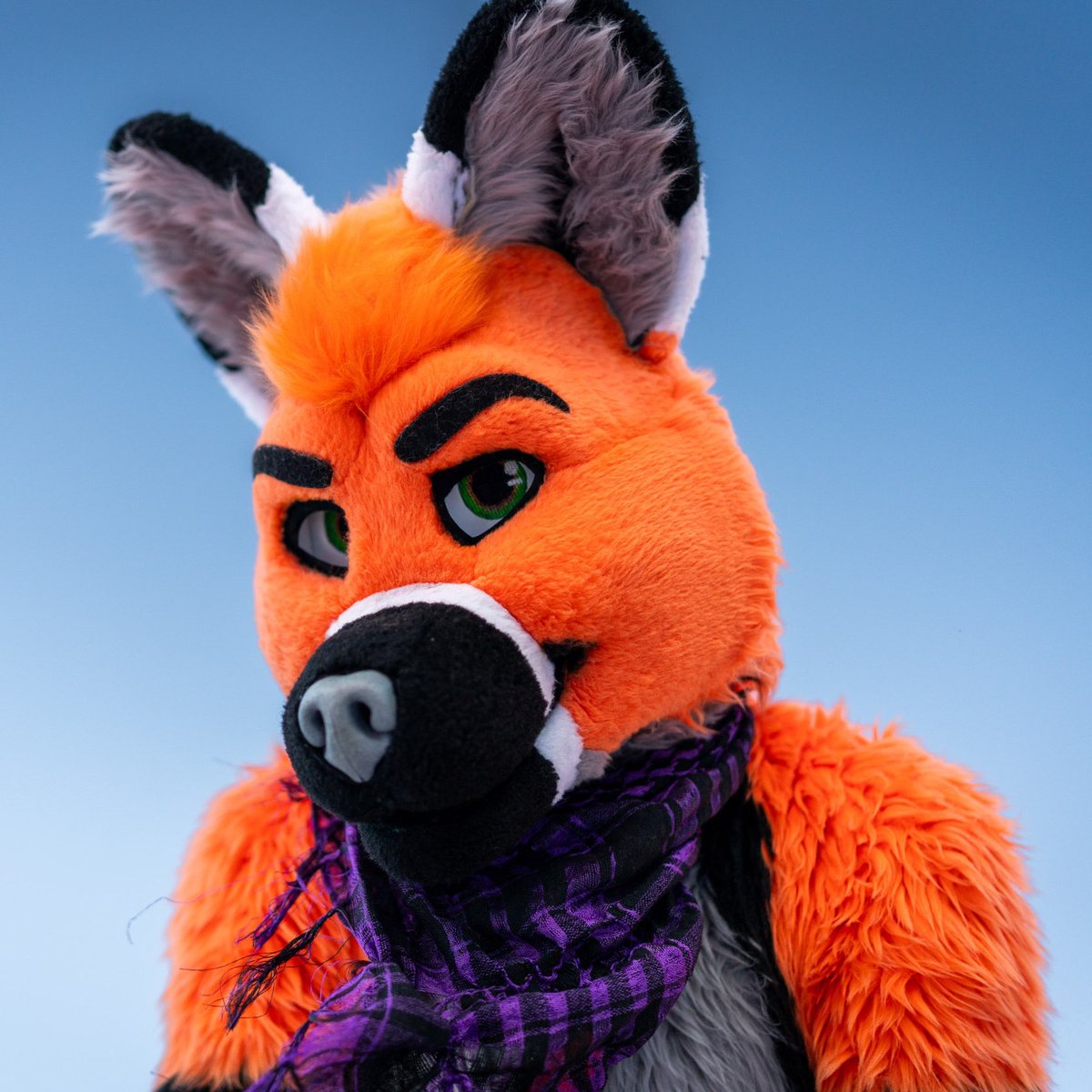 Corvus Fox tweet media