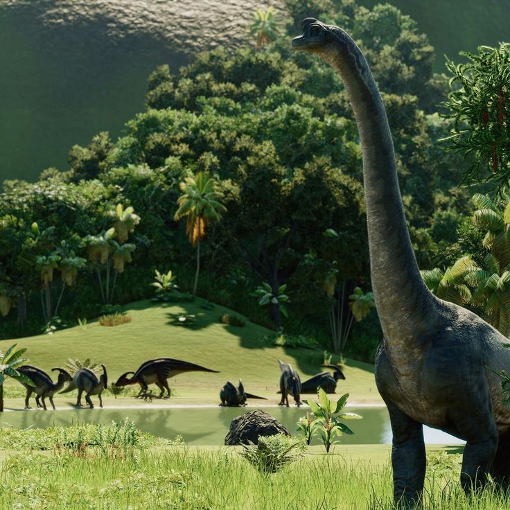 ͏͏͏͏ؘ tweet media