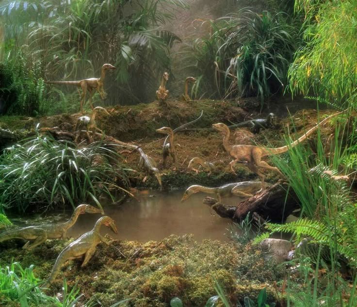 ͏͏͏͏ؘ tweet media