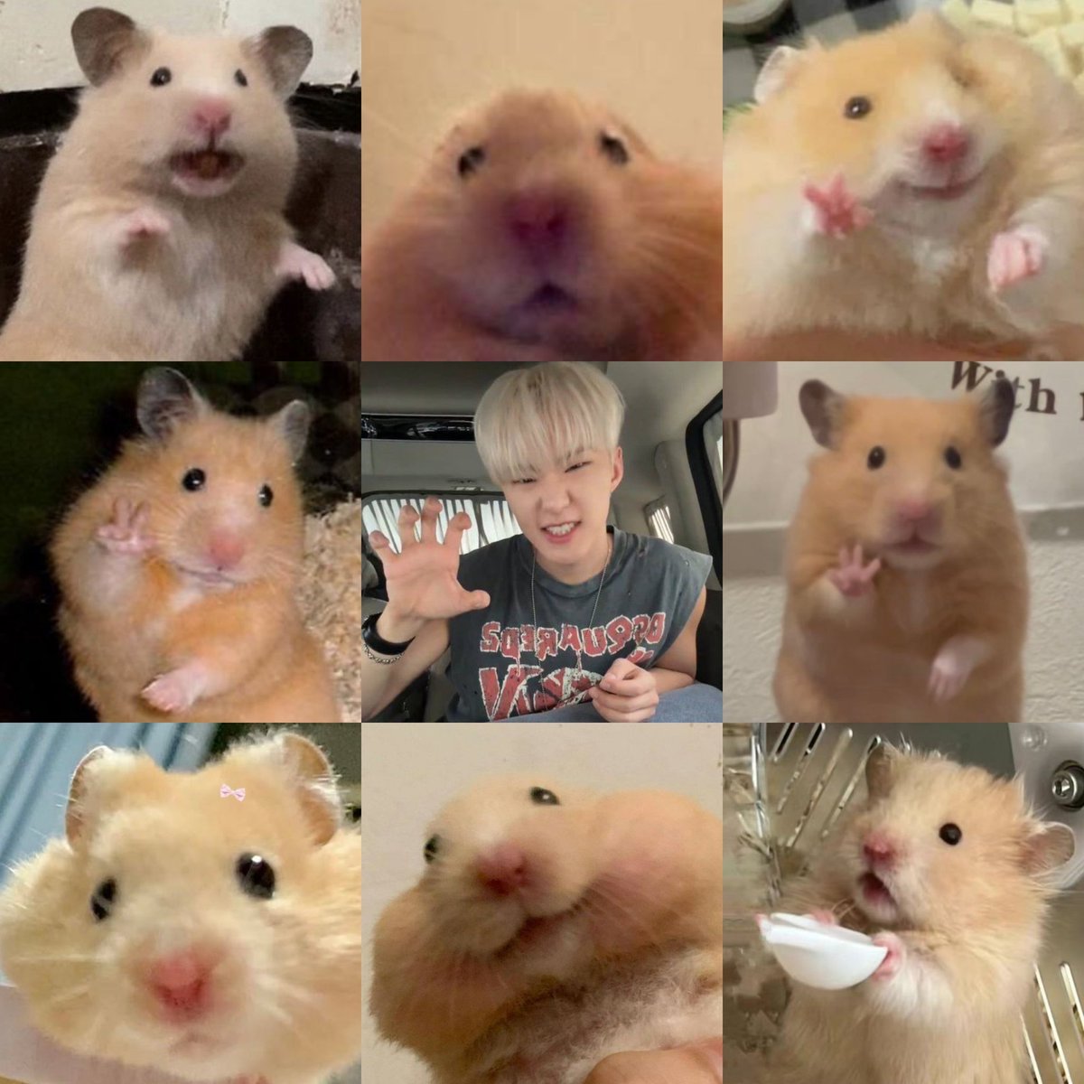 Hoshi and his one and only variant