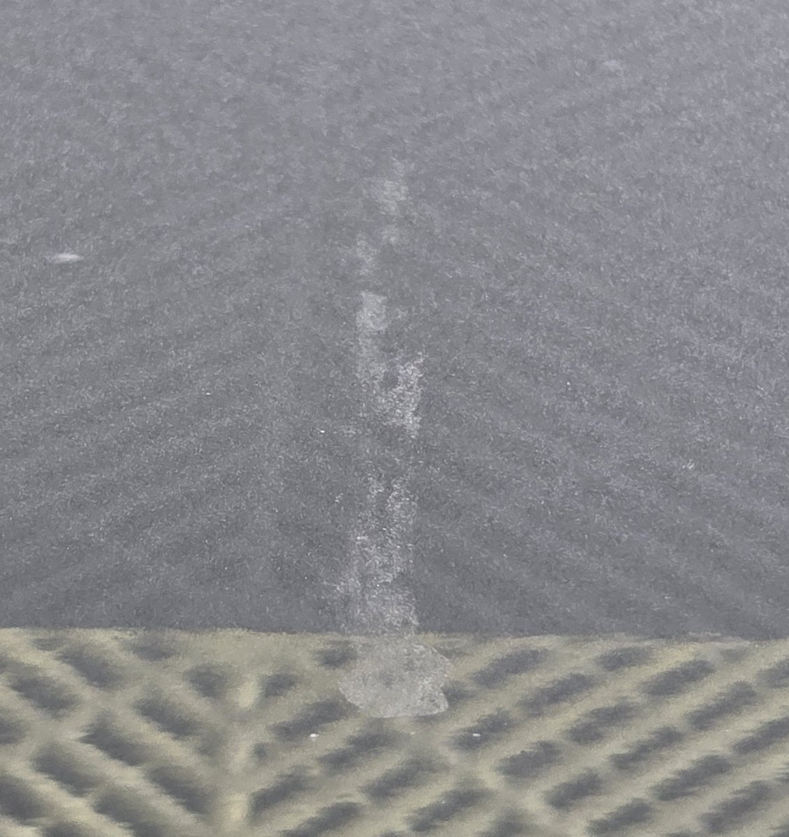 ززز زياد tweet media