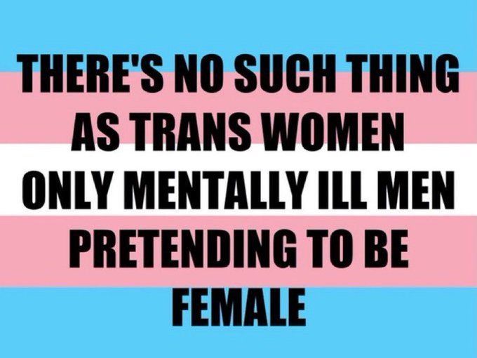 The American Girl (@theamericangrl) on Twitter photo 