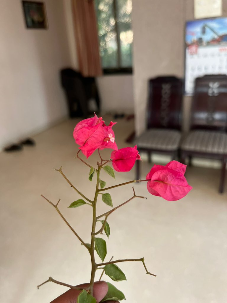 Ankit Mhatre (@akt_mht) on Twitter photo 
