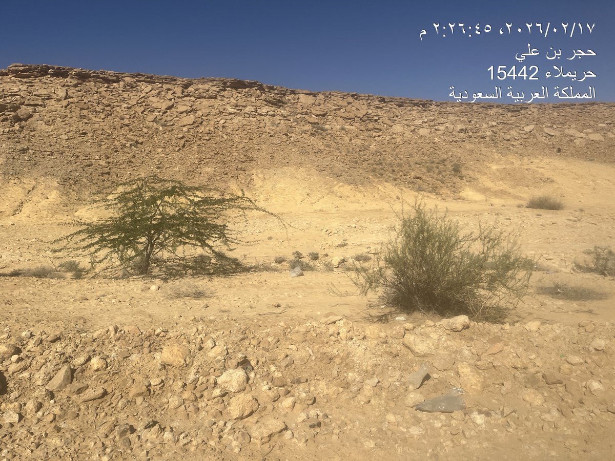 طارق الحسين tweet media