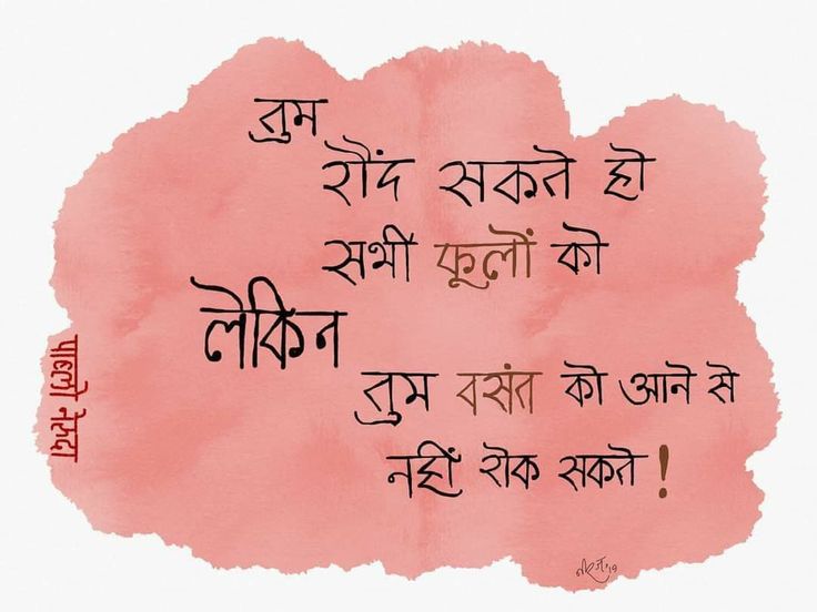 सच 🔂❤️