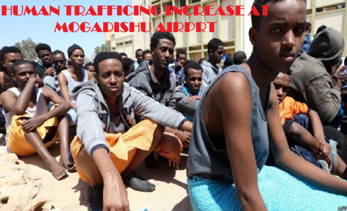 MP Dr Abdillahi Hashi Abib tweet media