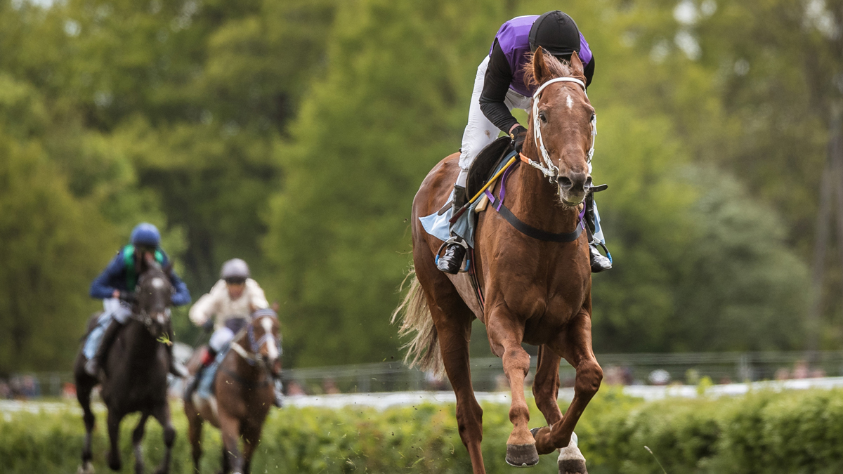 #Attualità #Datisulgiocoregolamentato #Scommesse #ScommesseIppiche Scommesse ippiche in agenzia, gennaio 2026: Milano guida raccolta e spesa, seguono Napoli e Roma dlvr.it/TR0sTP