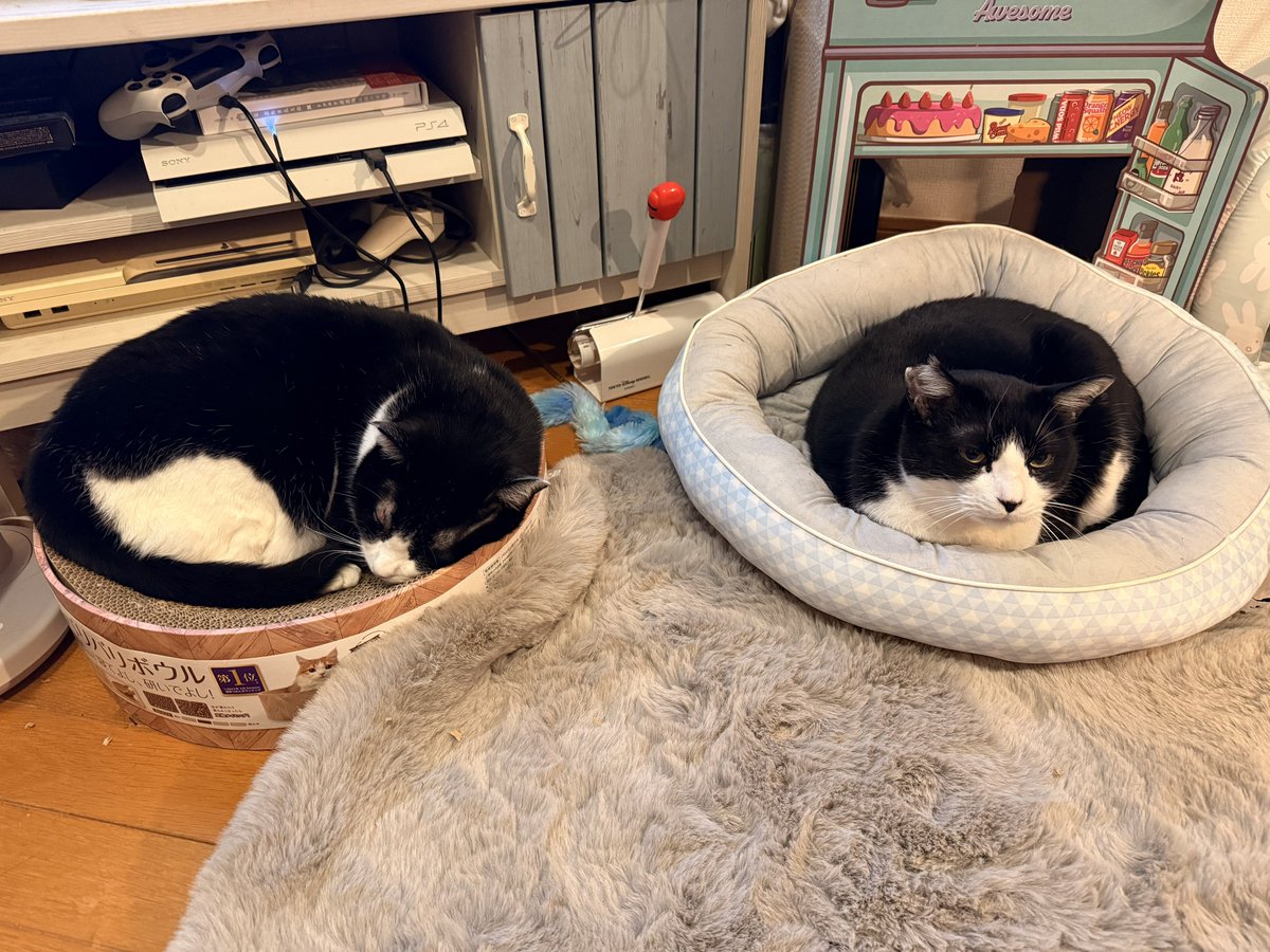 夜の薬飲みました