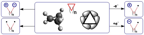 Waser Group tweet media