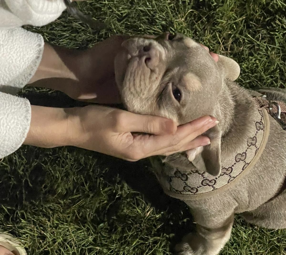 Guz Khan 🥶 tweet media