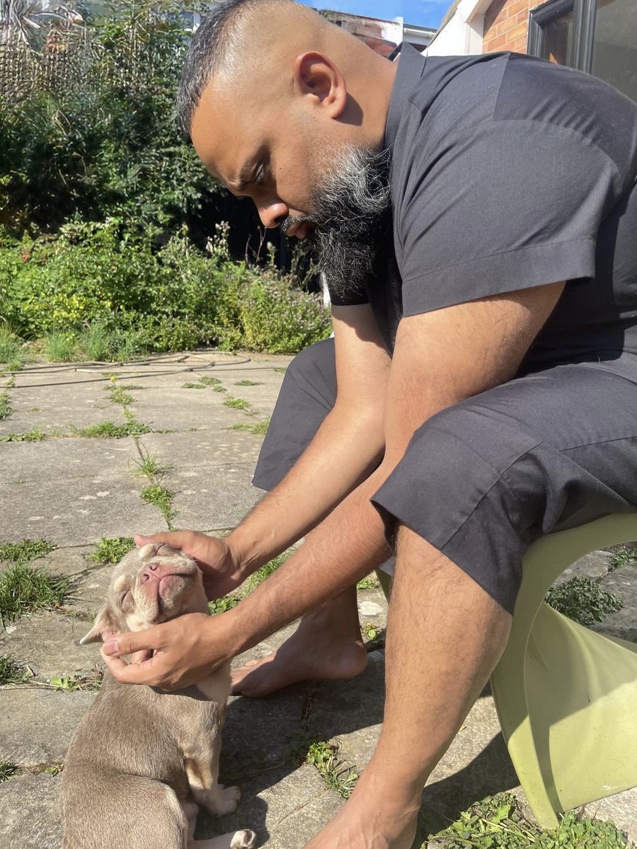 Guz Khan 🥶 tweet media