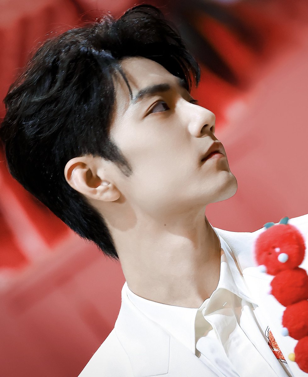 Xiao Zhan’s side profile 😍