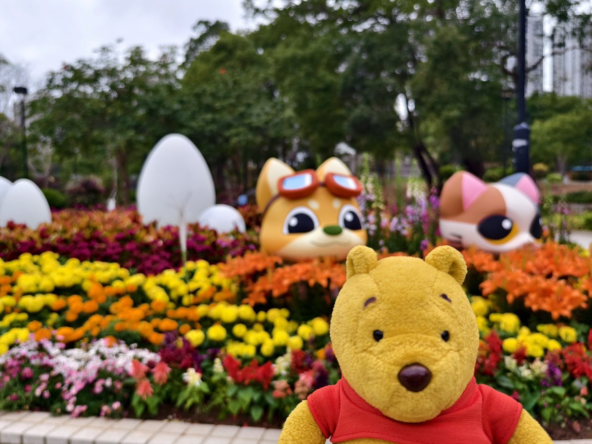 The Pooh (@ThePoohinhk) / Posts / X