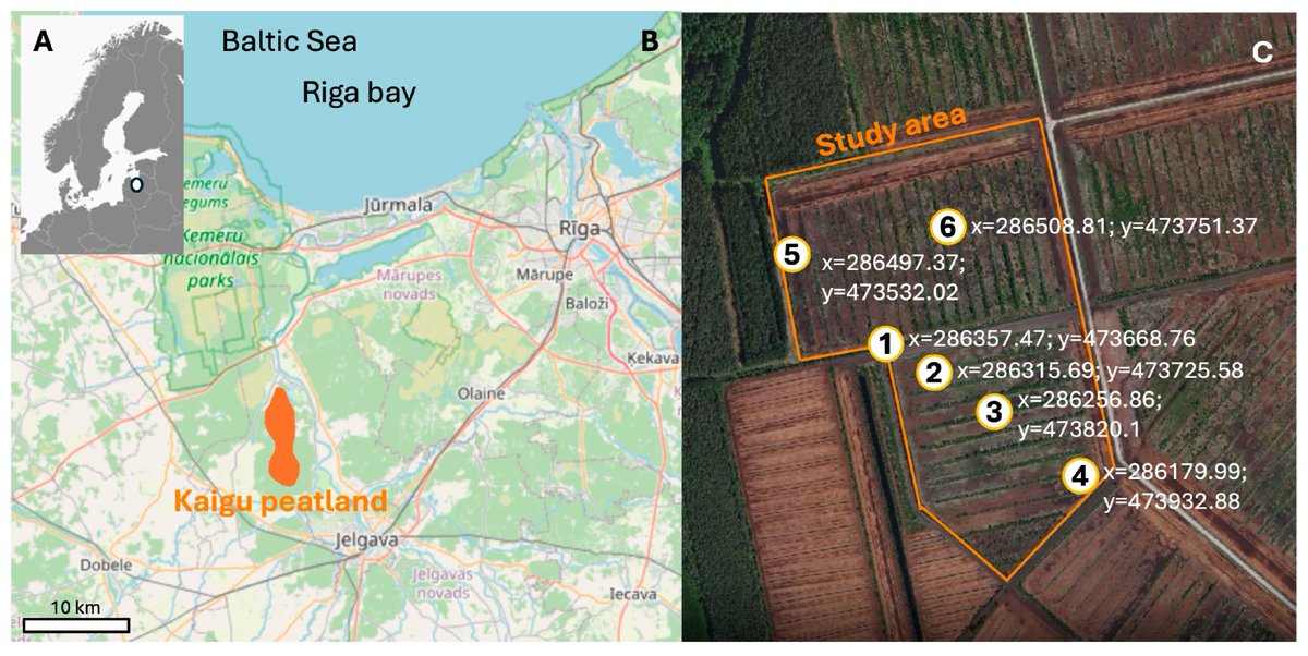 Data MDPI tweet media