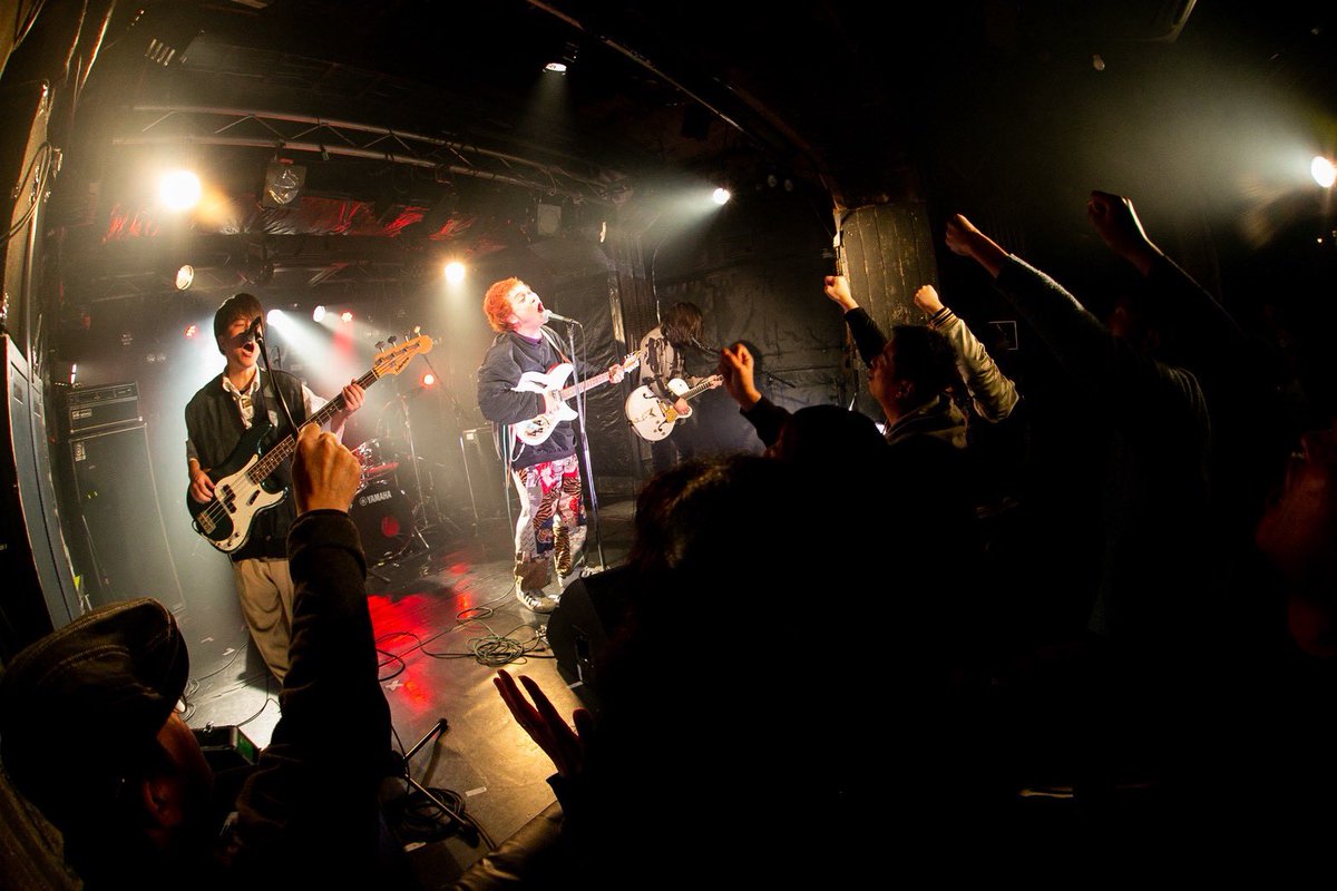 犬人間ニョンズ tweet media