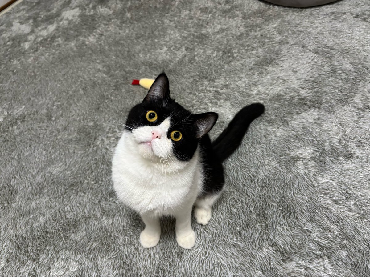 ねむちゃん (@nemuran616) on X