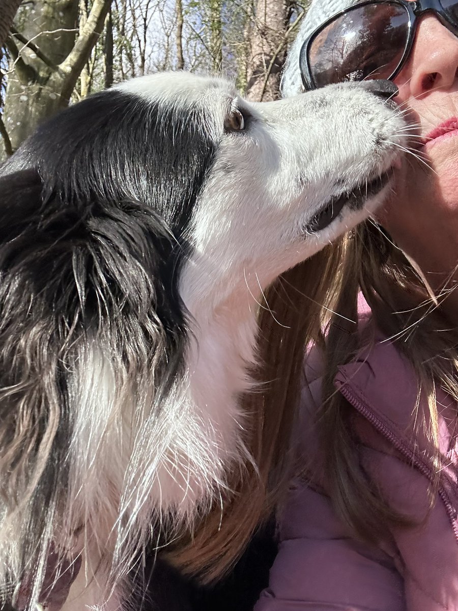 Susan & Orla🐶🏴🇪🇺 tweet media