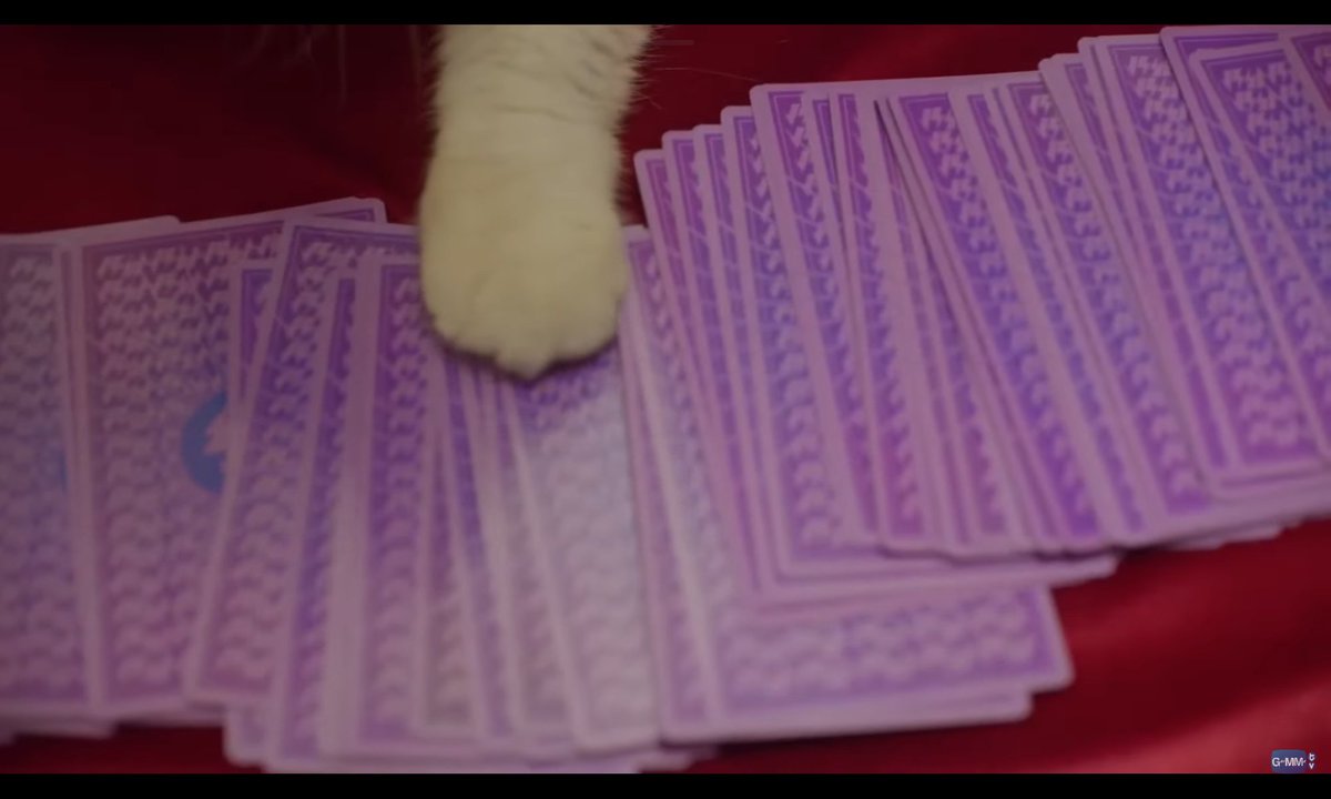 swttyoct's tweet image. แม่หมอยายจู ดูไพ่ของอินทุ นี่นาาา

#CatForCashEP5