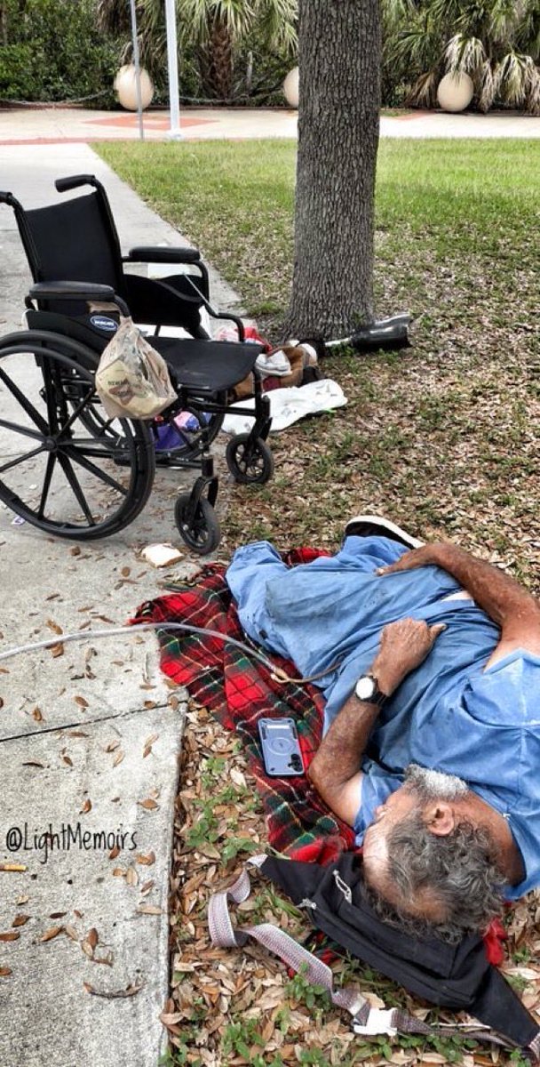 Light Memoirs tweet media