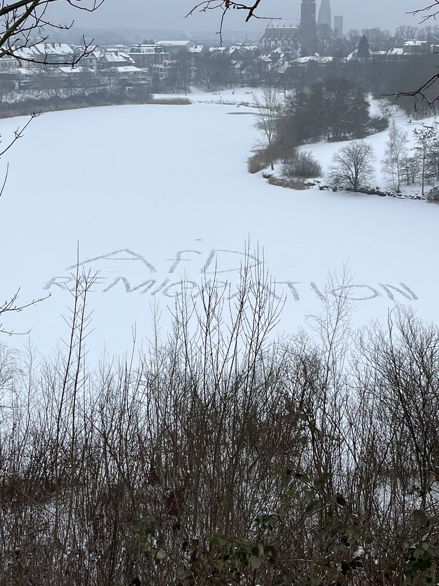 krautzone tweet media