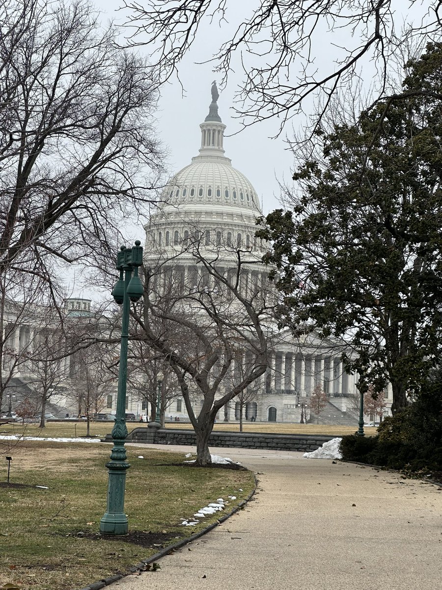 Will DiBugno tweet media