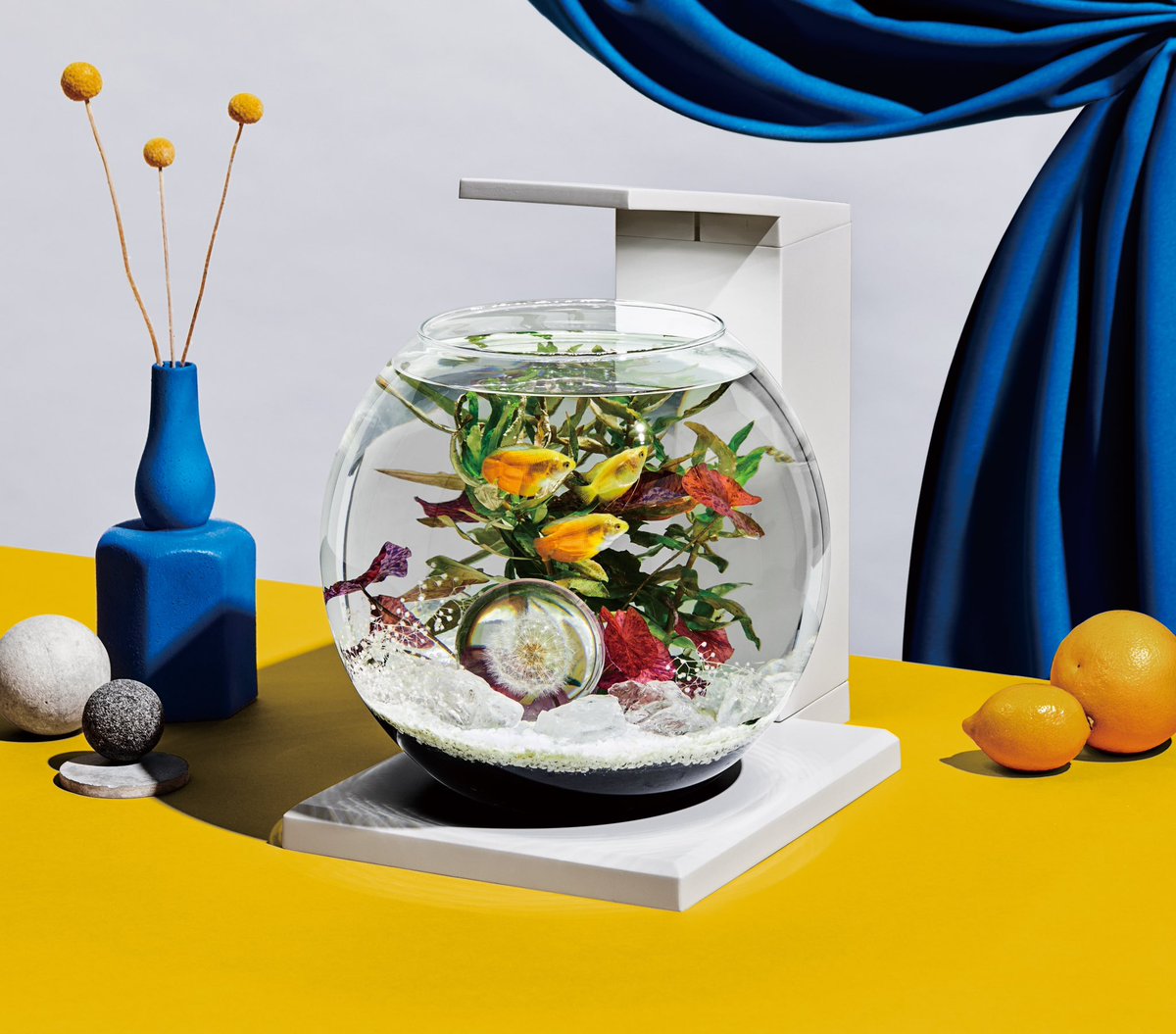 kato norihiro tweet media