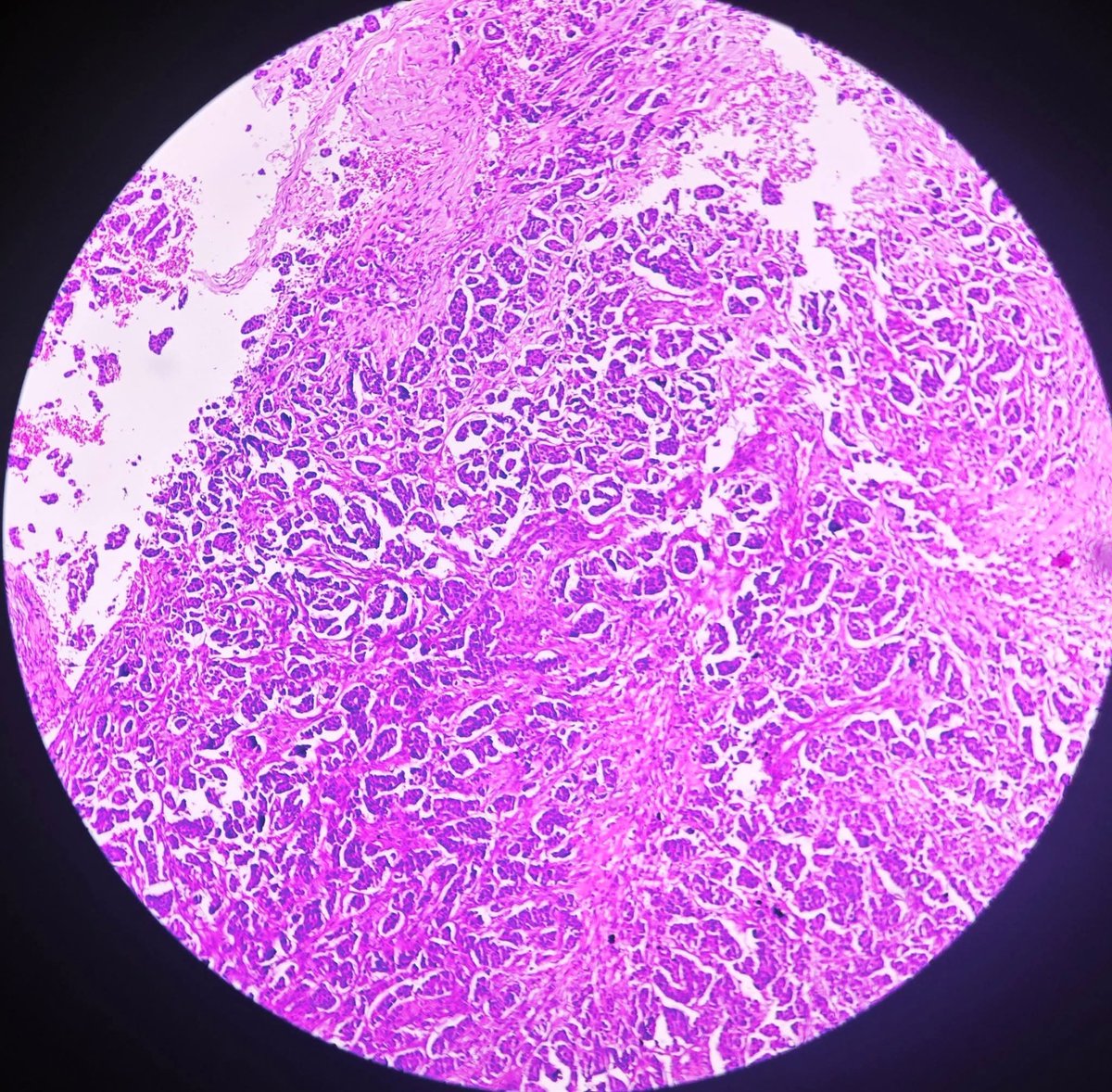 aung phyo tweet media