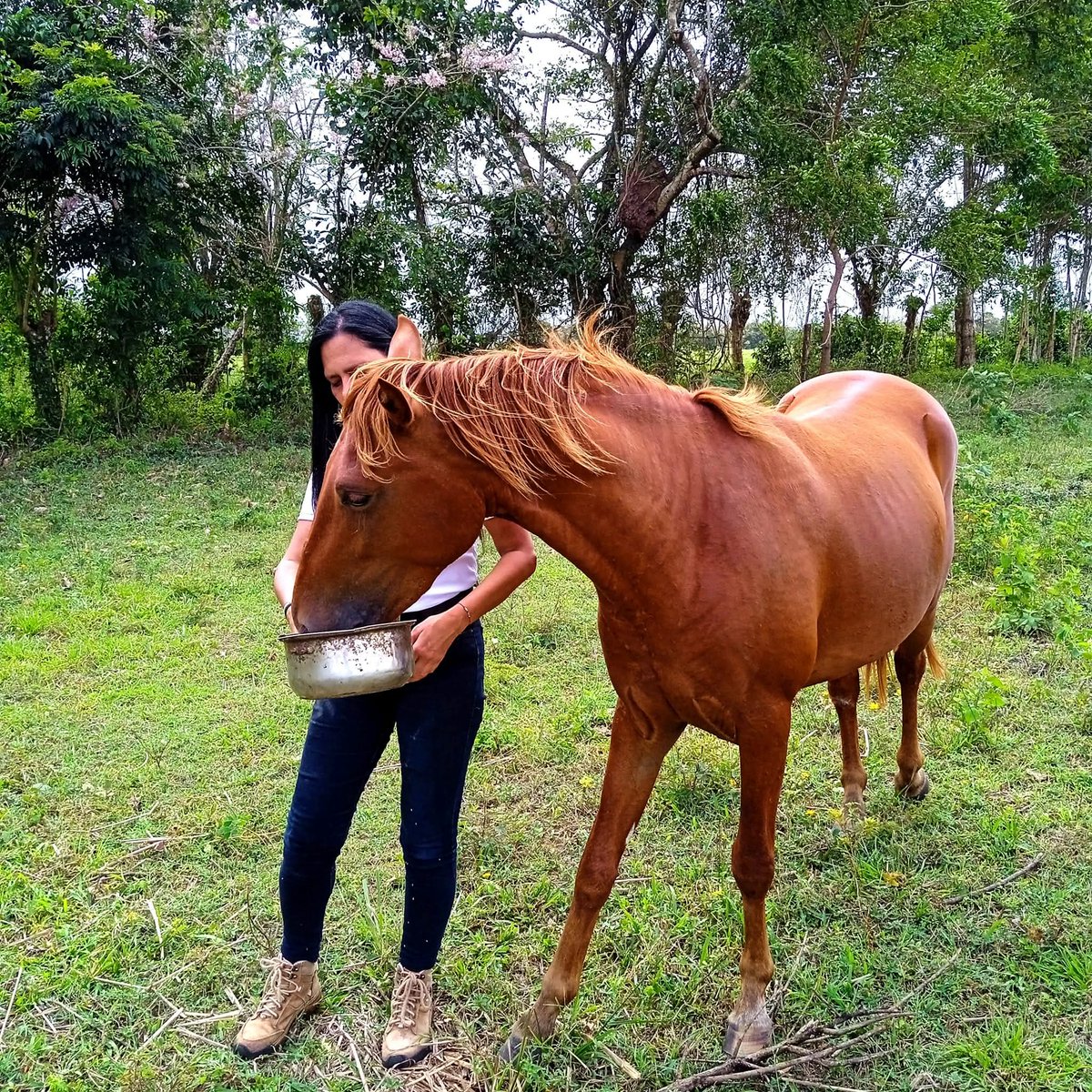 MGGR66's tweet photo. #17febrero 🐎🔥
Agradezco este día 🙏🏻
Que todo el Amor que das encuentre un millón de formas de volver a ti. 💖
📸 Con mi hermoso, Dimitri 🐎
#alazan #potro https://t.co/L4iD8NBIDZ