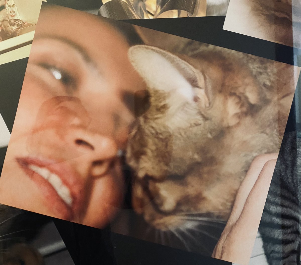 Ottocat3's tweet photo. Tanti Auguri Amore mio, anche se non posso baciarti, sei sempre con me. Mi manchi.

#festadelgatto https://t.co/HHpigdR5Q9