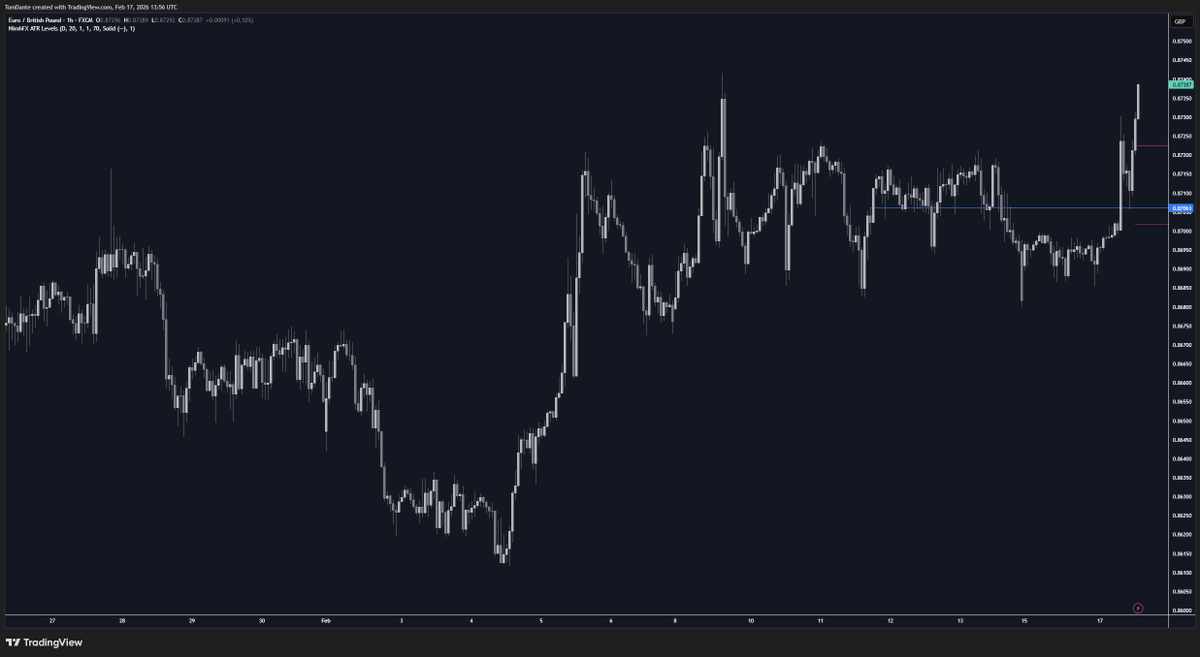 Tom Dante tweet media