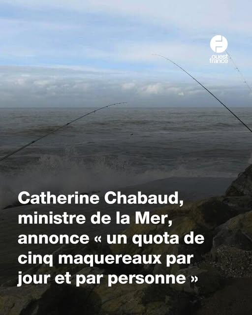c'est vrai, c'était urgent !! 🥺🥺🥺⏬🤪🤪🤪
interdire, toujours interdire 🤔🤔🤔