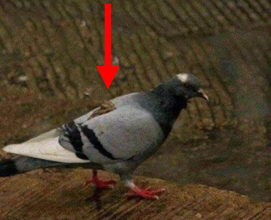 Αυτό λέγεται κάρμα 😌