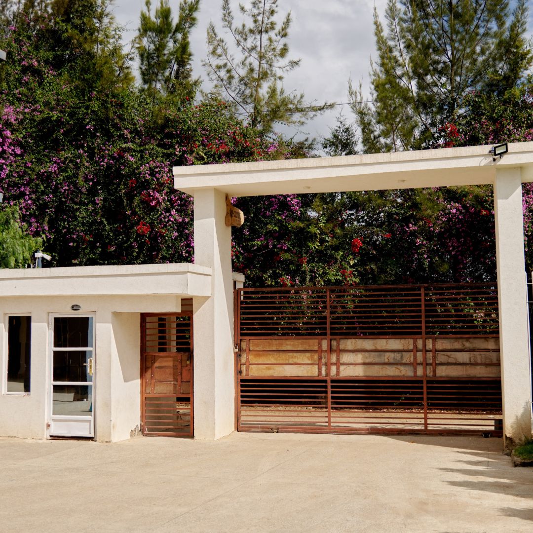 NimmohsHomeStay's tweet image. Planning a trip to Nanyuki? Here’s a tip:
✔ Book accommodation near town
✔ Choose a secure property
✔ Confirm WiFi speed
✔ Ask about breakfast options
At Nimmoh’s, you get all four.
Book here 👉 nimmohs.co.ke

#TipsTuesday 
#TravelTips #NanyukiTravel #KenyaStay