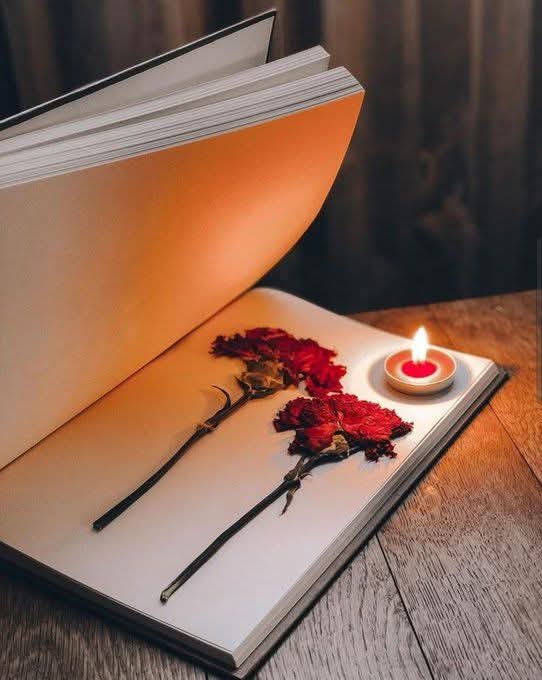 ⚘S͟h͟e͟n͟b͟a͟g͟a͟m͟⚘ tweet media