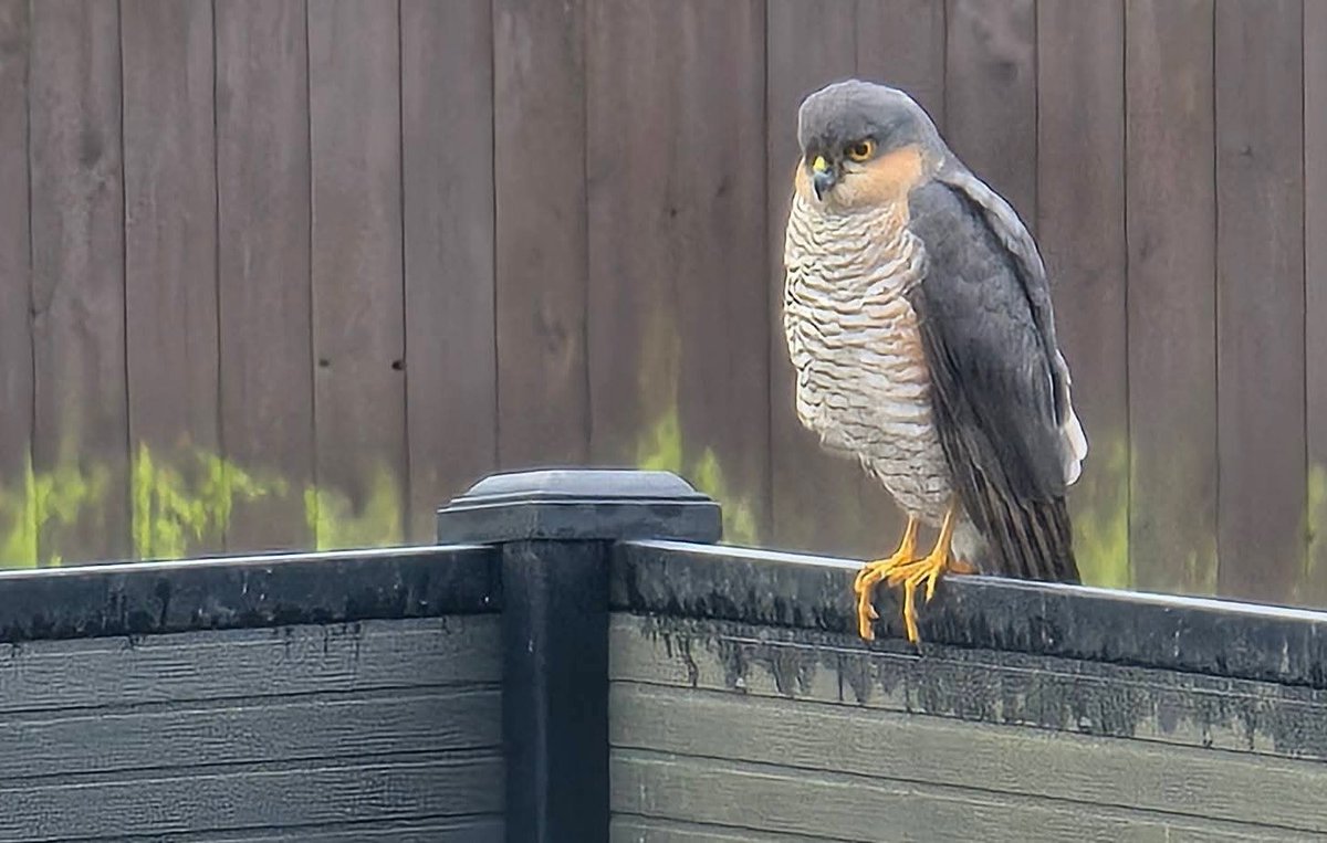 Taylor Payne tweet media