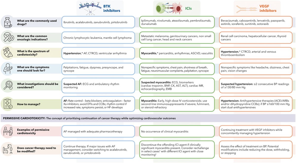 Kansas ACC tweet media