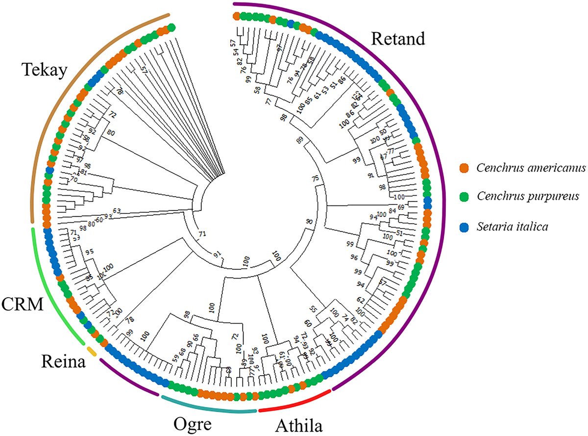 Genome Journal tweet media