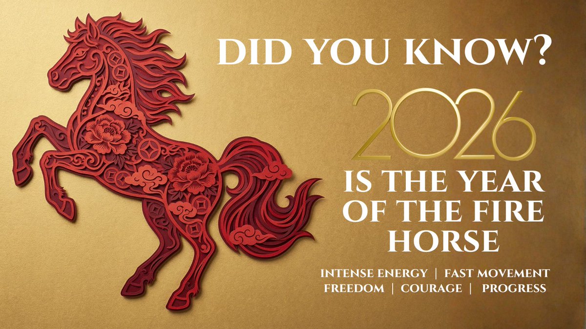 Batavia Downs Racetrack tweet media