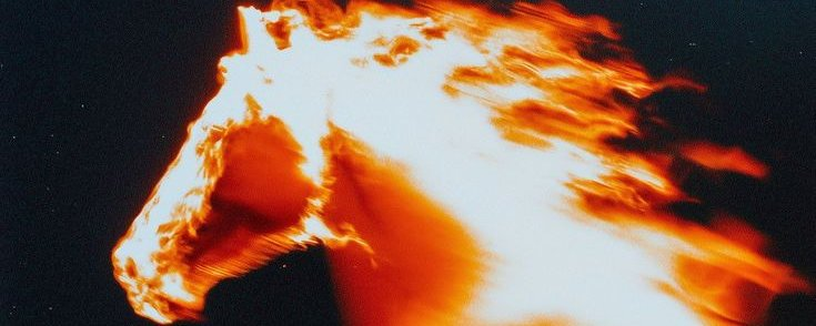 Happy Chinese New Year

Year of the Fire Horse

Bravado