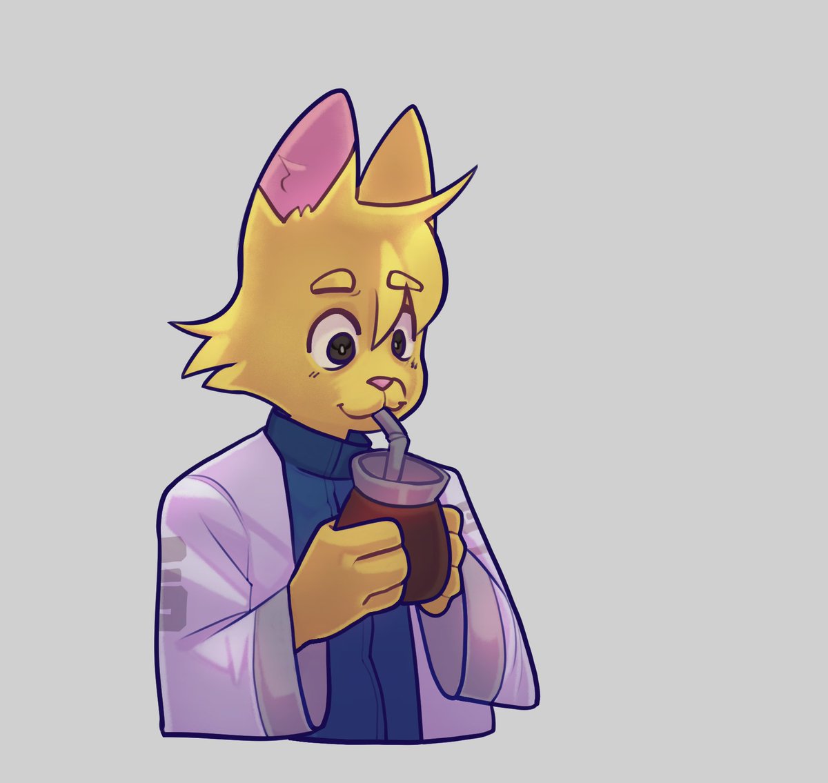 Yori tweet media