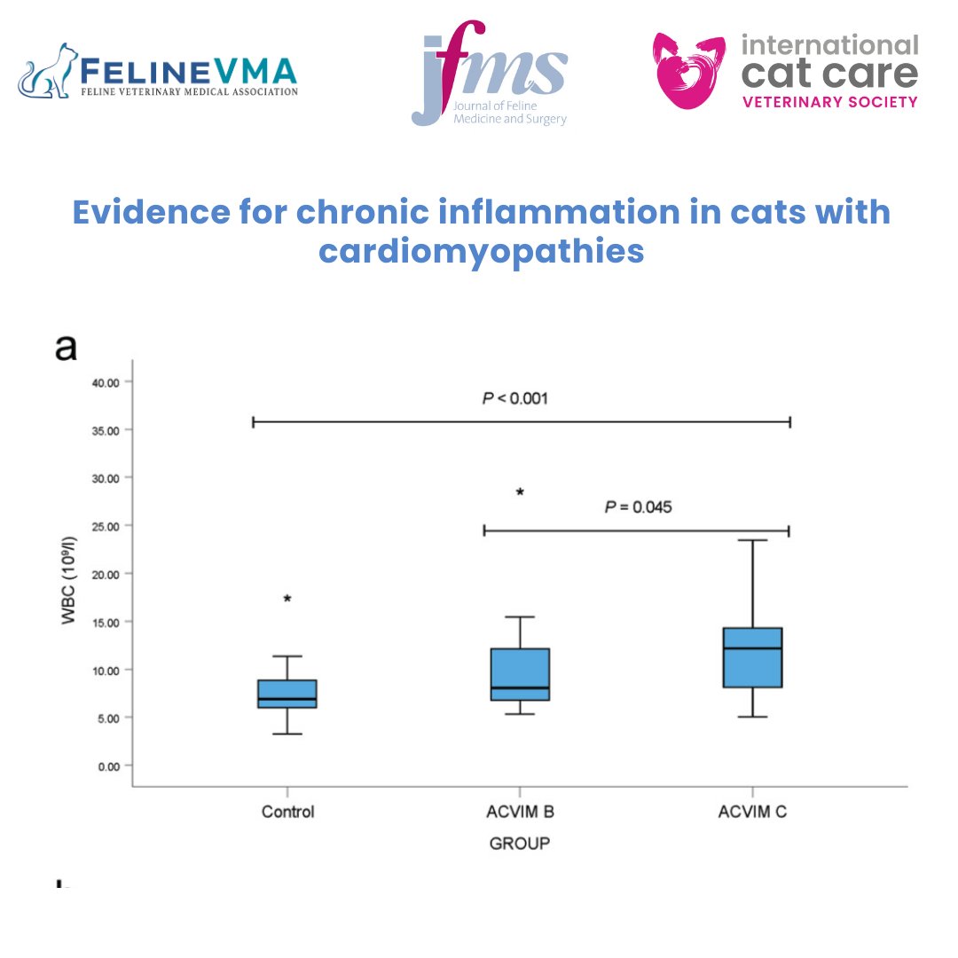 Feline Veterinary Medical Association tweet media