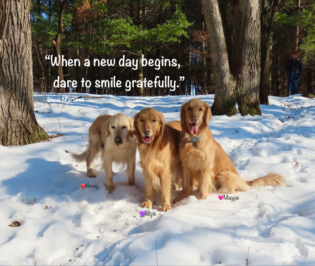 Darbi Jo The Golden tweet media