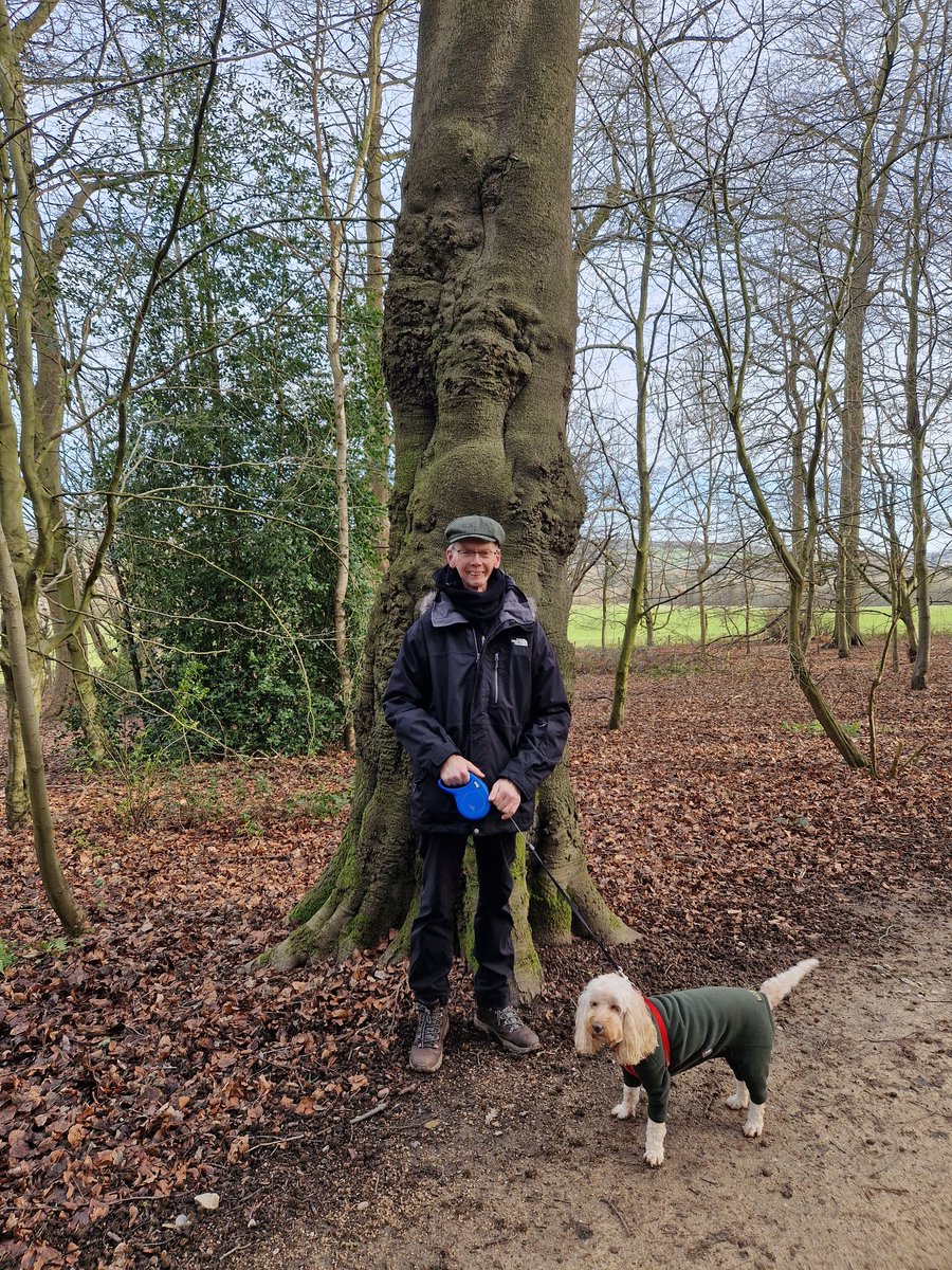 John Dabell tweet media