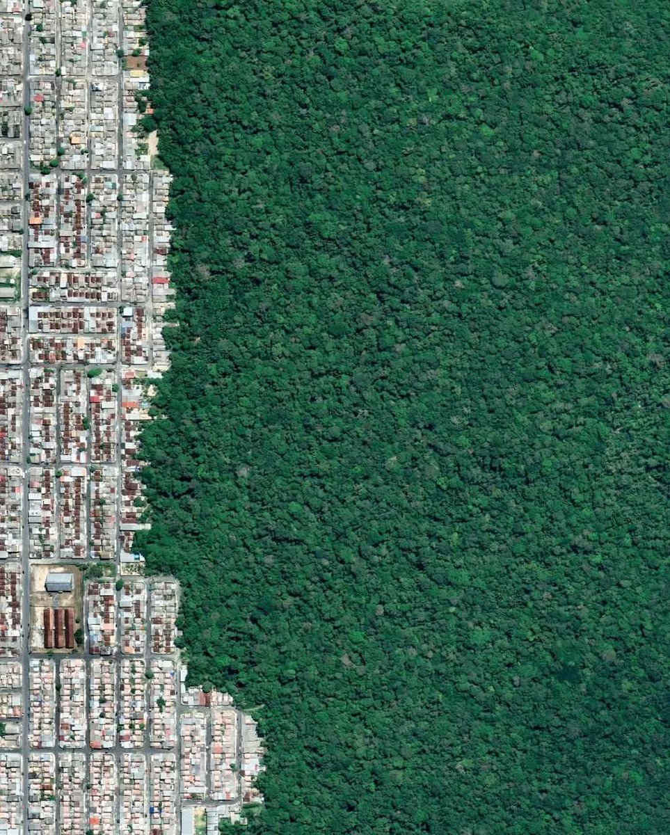 phanlop2's tweet image. Manaus vs Amazonia
#saveamazon #amazon #Brazil #world