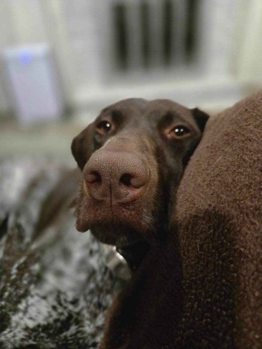 Ryan Forsberg tweet media