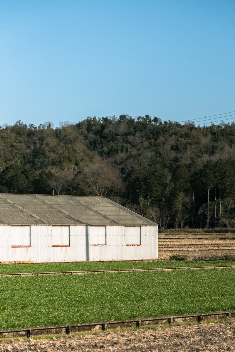 作為の無い建ち方