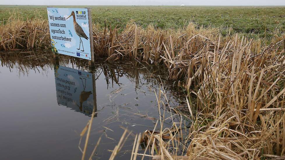 se_oost's tweet photo. BBB en SGP Overijssel willen af van ‘witte gebieden’ waar geen #ANLB mogelijk is. Ze vragen om versnelling en extra middelen voor agrarisch natuur- en landschapsbeheer. #platteland #biodiversiteit @ProvOverijssel @BrommerG @JanJonkerSGP 
https://t.co/9QNuWlBda2 https://t.co/KxmmPlFoYf